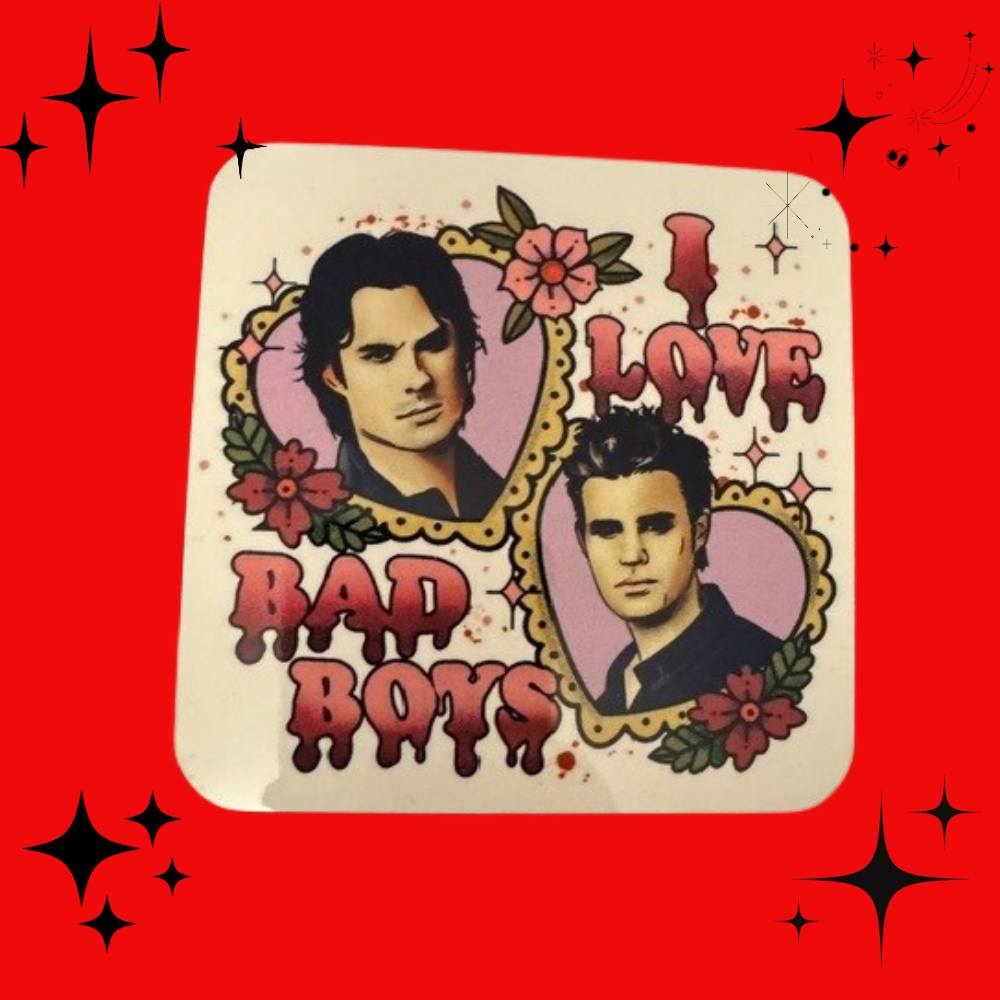 I love bad boys Stefan and Damon Coaster