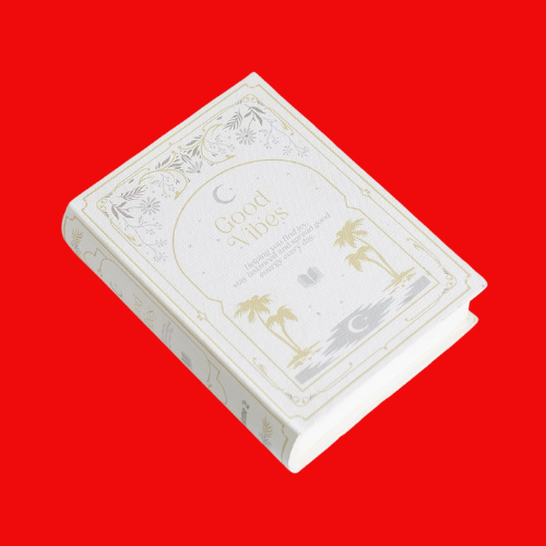 White Book Shaped Storage Box