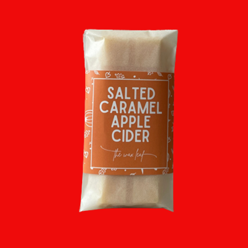 Salted Caramel Apple Cider Wax Melt Snap Bar