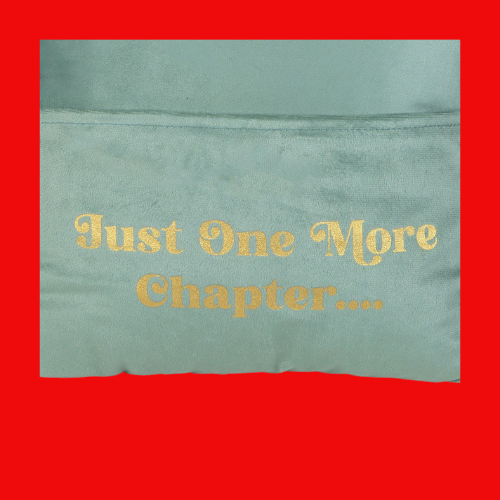 Just One More Chapter Cushion with Book Pocket
