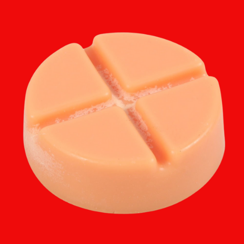 Spiced Pumpkin Soy Wax Snap Disc