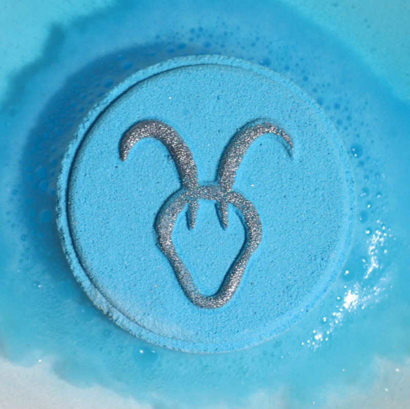Box of 2 Zodiac Bath Fizzers with Horoscope - Capricorn