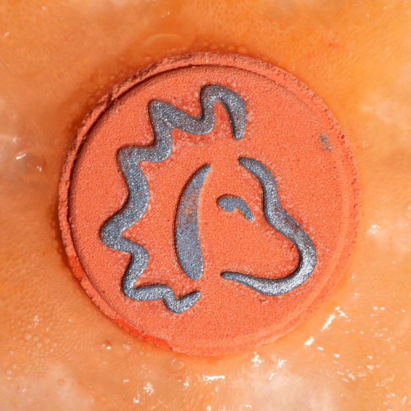 Box of 2 Zodiac Bath Fizzers with Horoscope - Leo